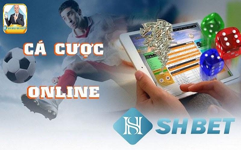 Cá cược thể thao tại Shbet