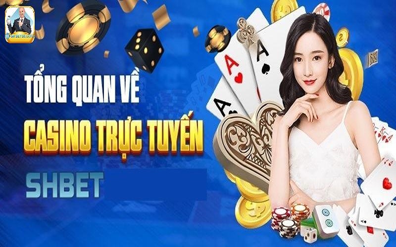 Thông tin cơ bản nhất về casino tại Shbet