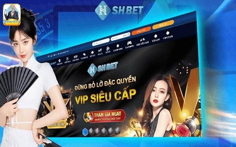 Một vài câu hỏi liên quan đến đăng nhập Shbet